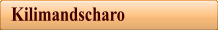 Kilimandscharo